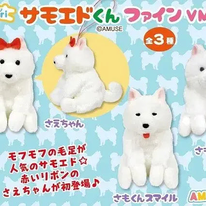 [BUNJANG] Amuse Samoyed VMC Mascot Plush / 일본 어뮤즈 정품) 사모예드 VMC 마스코트