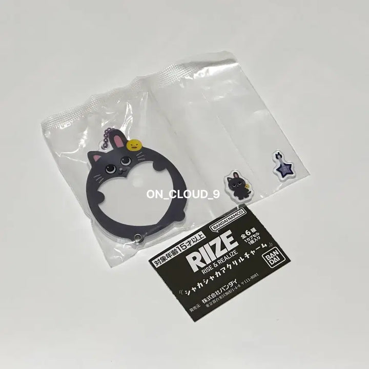 [BUNJANG] RIIZE Wonbin Shaka Shaka Gacha Keyring / 라이즈 샤카샤카 키링 가챠 원빈 토냥덕