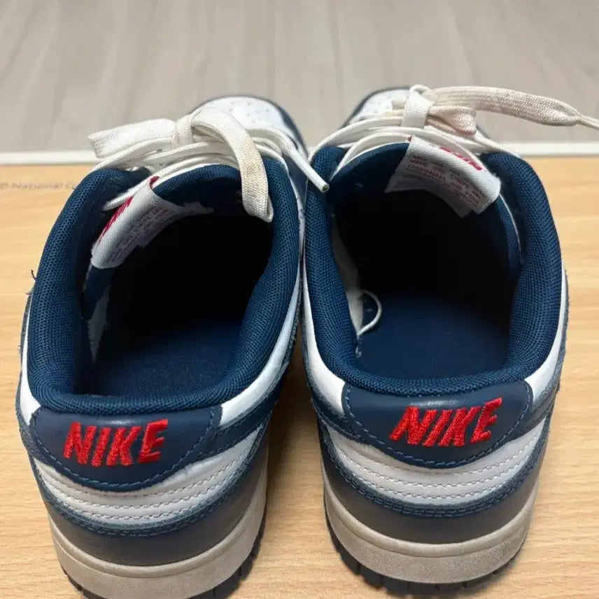 [BUNJANG] Nike Dunk Low 260 Sneakers / 나이키 덩크 로우 260