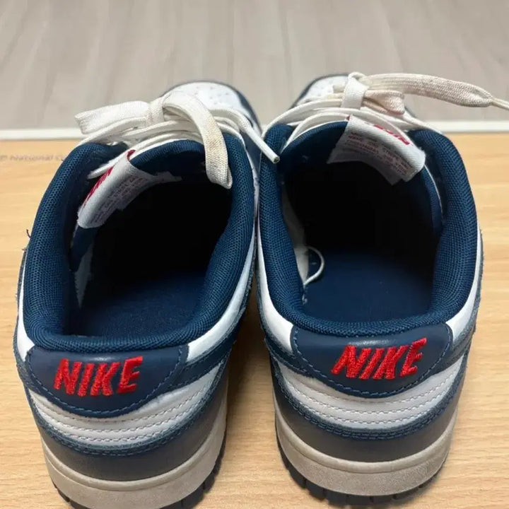 [BUNJANG] Nike Dunk Low 260 Sneakers / 나이키 덩크 로우 260