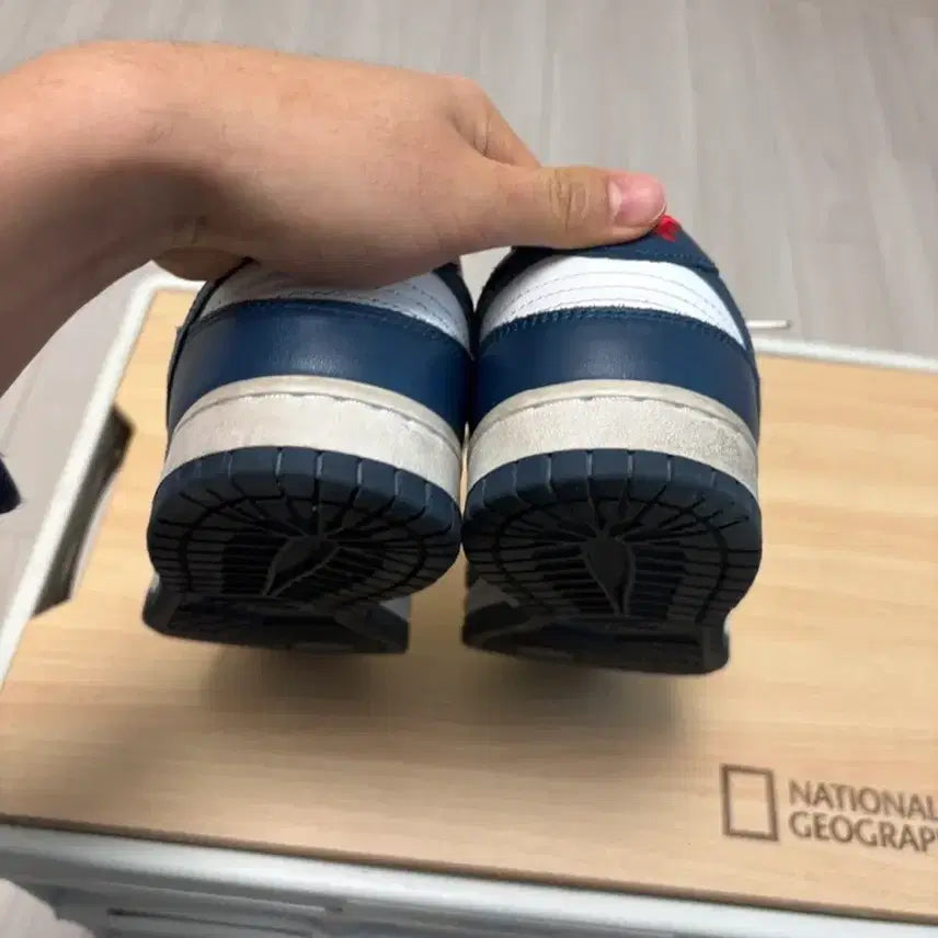 [BUNJANG] Nike Dunk Low 260 Sneakers / 나이키 덩크 로우 260