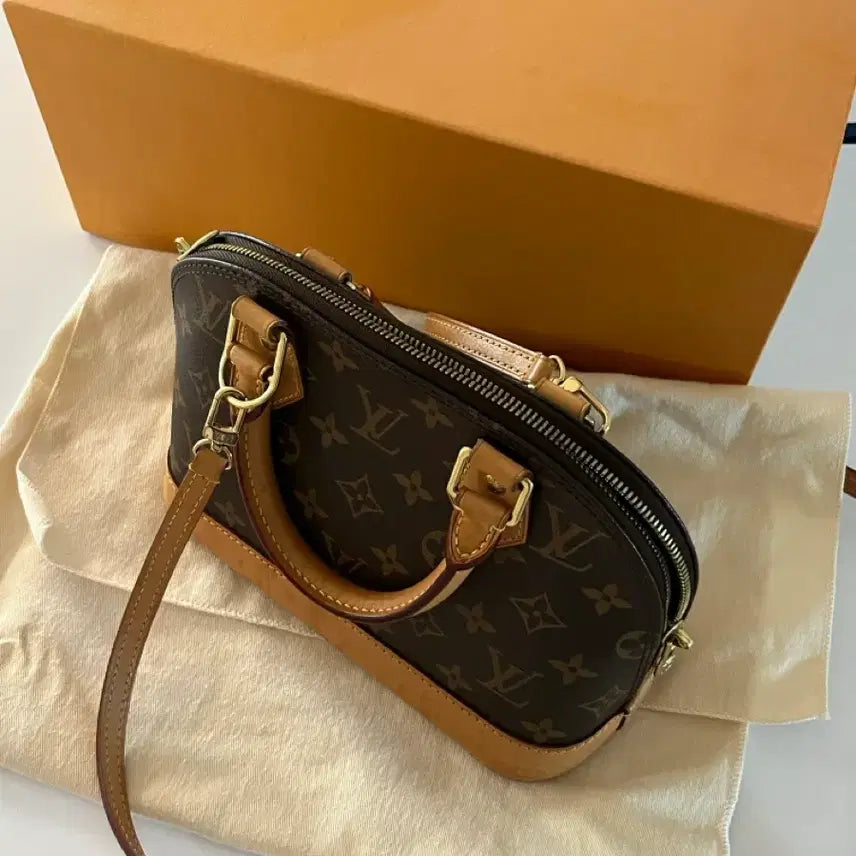 [BUNJANG] Louis Vuitton Alma BB Handbag / 루이비통 알마bb (신본에서 직접구매)