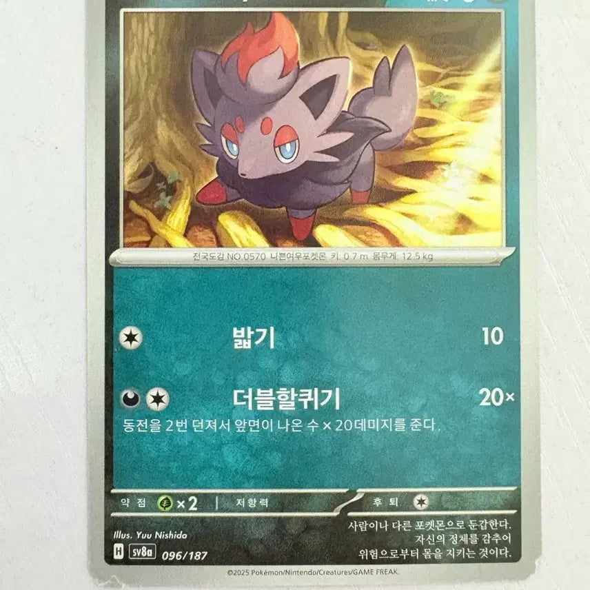 [BUNJANG] Cute Pokemon Card Zoroark / [귀여운 포켓몬카드] 조로아