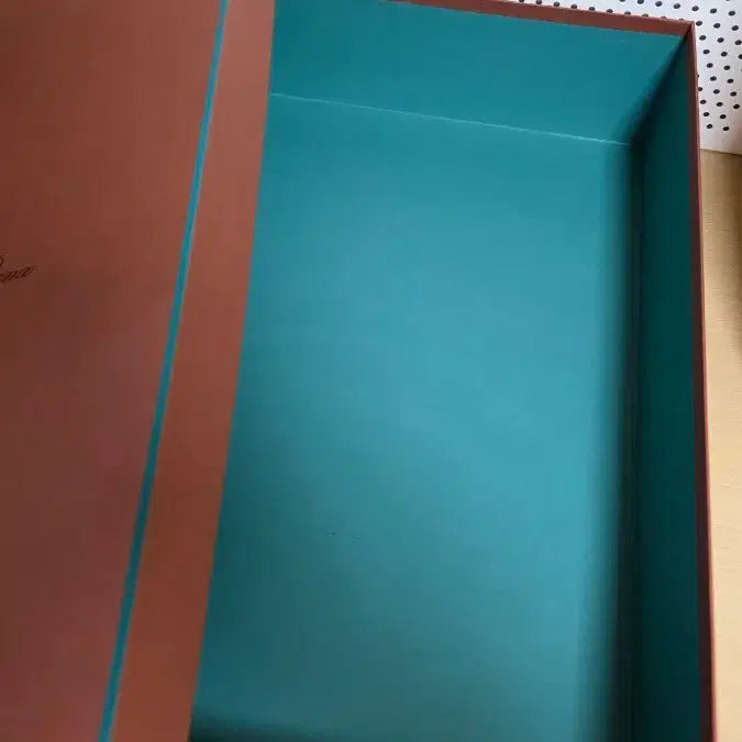 [BUNJANG] Loro Piana Large Box / 로로피아나 박스 팝니다.