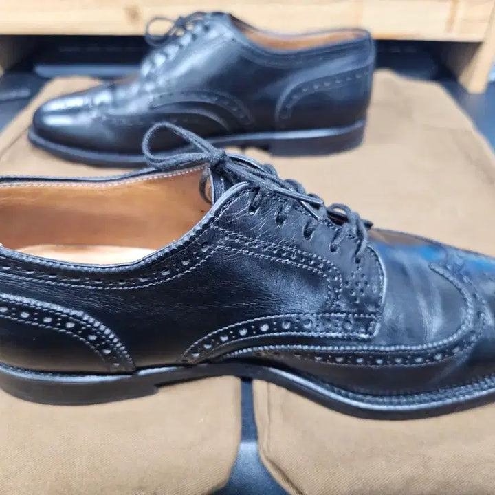 [BUNJANG] Alden Brogue Wingtip Shoes / 알든 브로그 윙팁 6.5