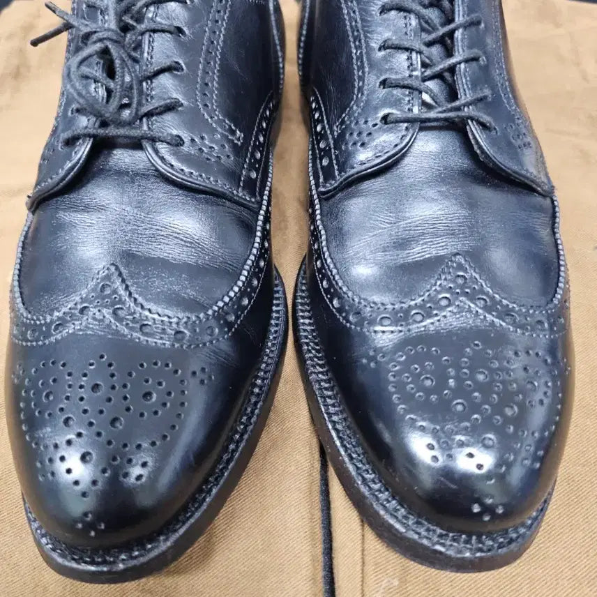 [BUNJANG] Alden Brogue Wingtip Shoes / 알든 브로그 윙팁 6.5