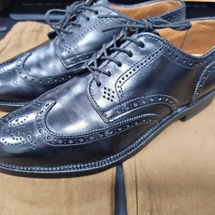 [BUNJANG] Alden Brogue Wingtip Shoes / 알든 브로그 윙팁 6.5