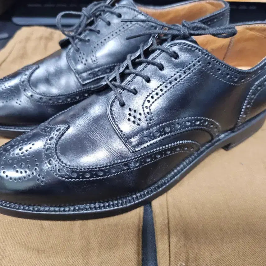 [BUNJANG] Alden Brogue Wingtip Shoes / 알든 브로그 윙팁 6.5