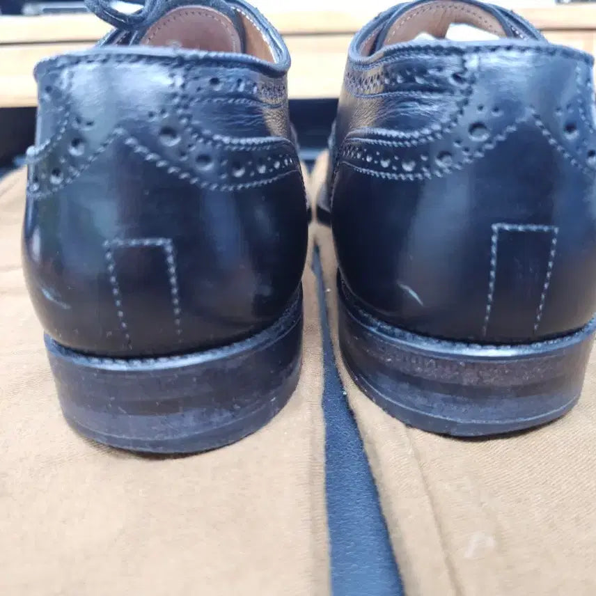 [BUNJANG] Alden Brogue Wingtip Shoes / 알든 브로그 윙팁 6.5