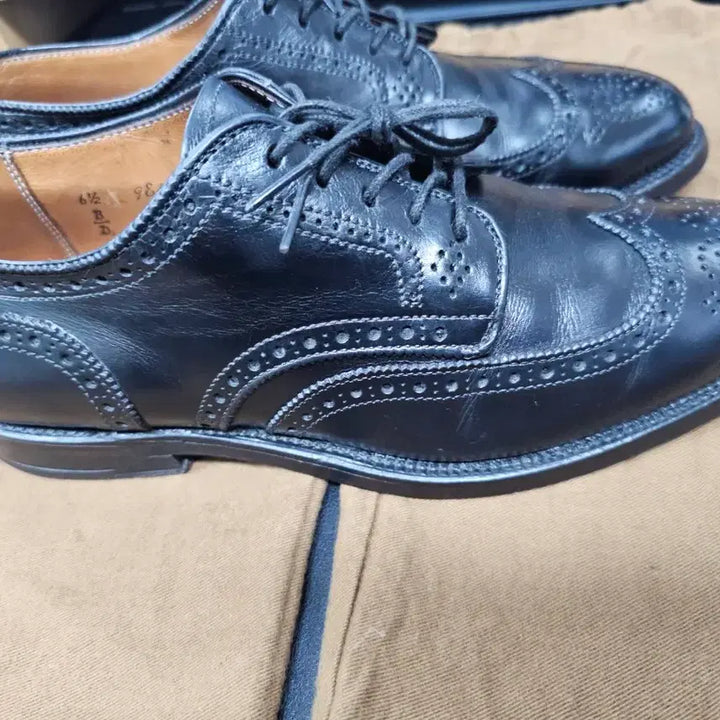 [BUNJANG] Alden Brogue Wingtip Shoes / 알든 브로그 윙팁 6.5
