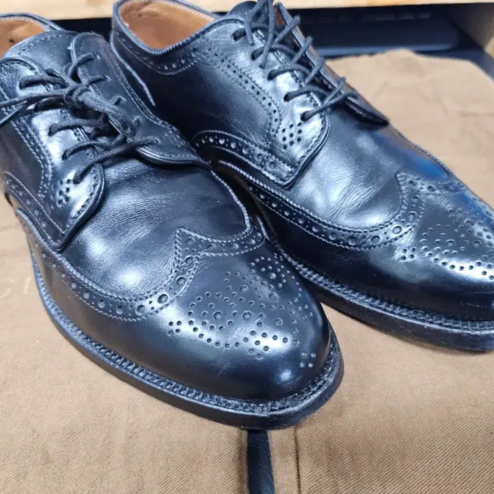 [BUNJANG] Alden Brogue Wingtip Shoes / 알든 브로그 윙팁 6.5