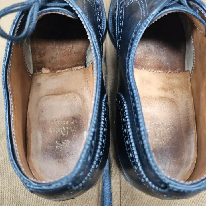 [BUNJANG] Alden Brogue Wingtip Shoes / 알든 브로그 윙팁 6.5