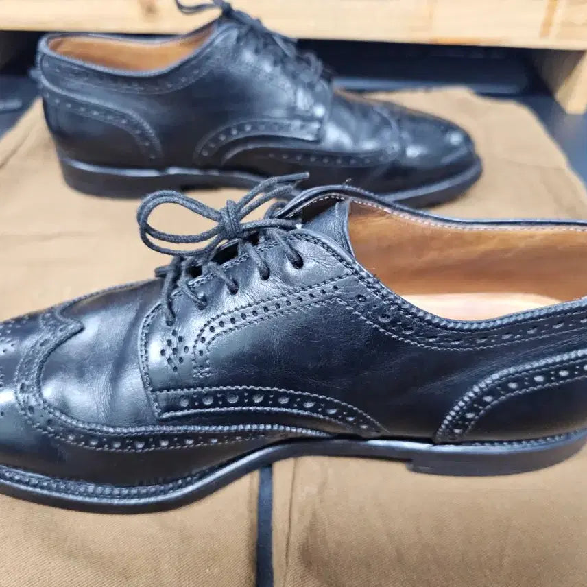 [BUNJANG] Alden Brogue Wingtip Shoes / 알든 브로그 윙팁 6.5