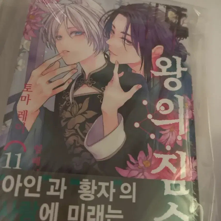 [BUNJANG] King's Beast Volume 11 (First Edition) / 미개봉 초판 애니메이트) 왕의 짐승 11권