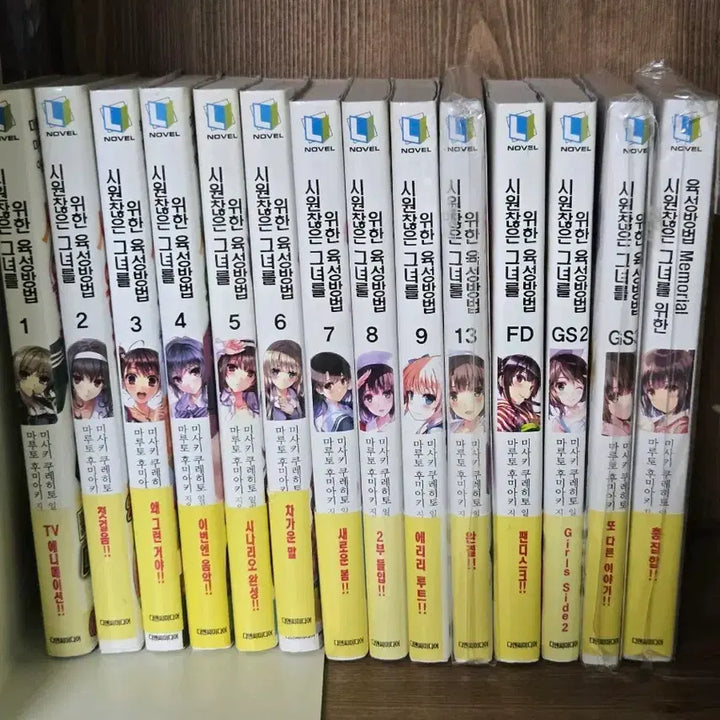 [BUNJANG] Saekano First Edition / 시원찮은 그녀를 위한 육성방법 초판