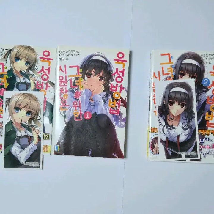 [BUNJANG] Saekano First Edition / 시원찮은 그녀를 위한 육성방법 초판