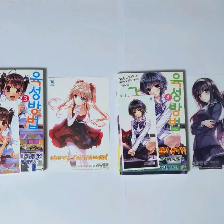 [BUNJANG] Saekano First Edition / 시원찮은 그녀를 위한 육성방법 초판