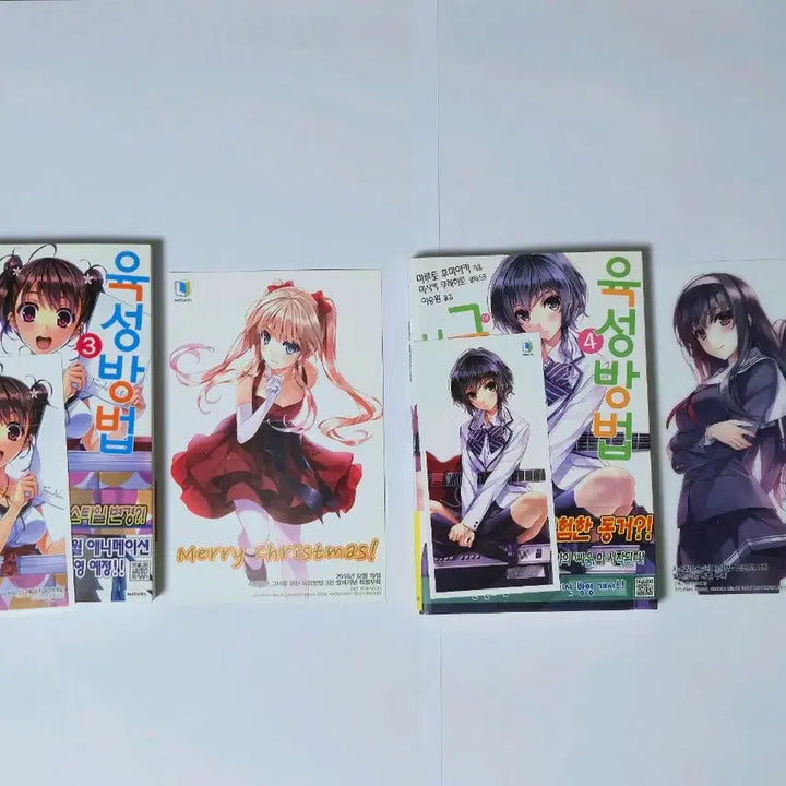 [BUNJANG] Saekano First Edition / 시원찮은 그녀를 위한 육성방법 초판