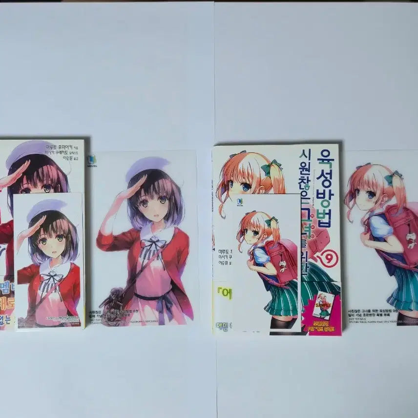 [BUNJANG] Saekano First Edition / 시원찮은 그녀를 위한 육성방법 초판