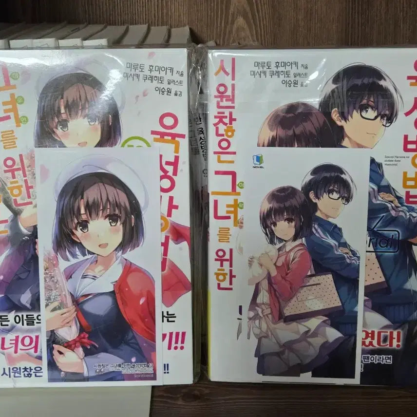 [BUNJANG] Saekano First Edition / 시원찮은 그녀를 위한 육성방법 초판