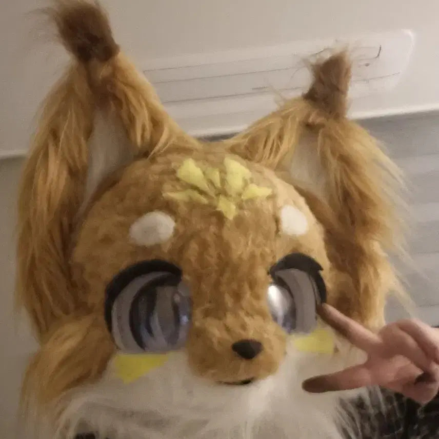 [BUNJANG] Onlyhead / 퍼슈트 온리헤드 택미포 17에 팔아요