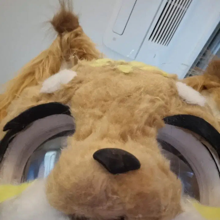 [BUNJANG] Onlyhead / 퍼슈트 온리헤드 택미포 17에 팔아요