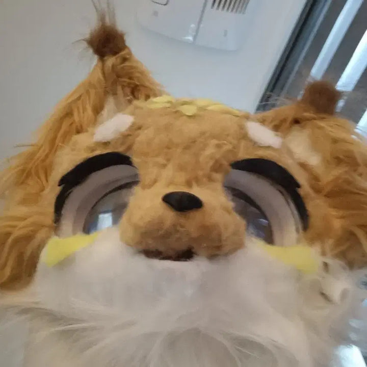 [BUNJANG] Onlyhead / 퍼슈트 온리헤드 택미포 17에 팔아요