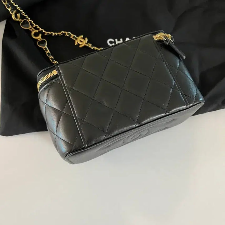 [BUNJANG] Chanel Vanity Bag / 샤넬 베니티 (신본에서 직접 구매)