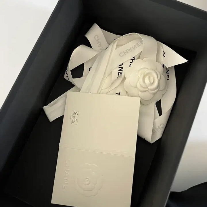 [BUNJANG] Chanel Vanity Bag / 샤넬 베니티 (신본에서 직접 구매)