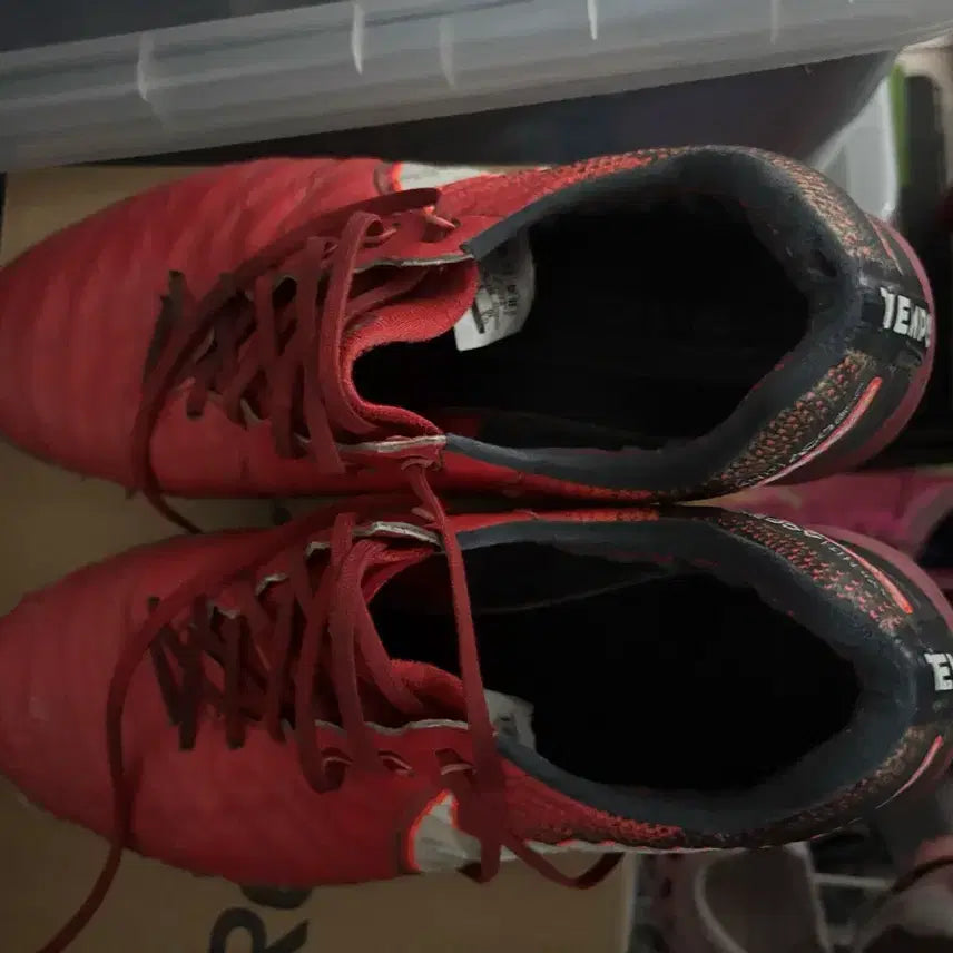 [BUNJANG] Tiempo Genio Proximo 2 TF Soccer Cleats / 티엠포 프록시모2 285 tf