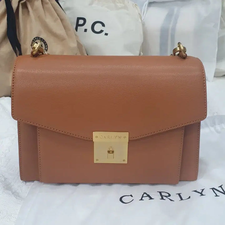 [BUNJANG] CARLYN Handbag - Mint Condition / 칼린 가방 여성용 상태좋음 3회미만착용