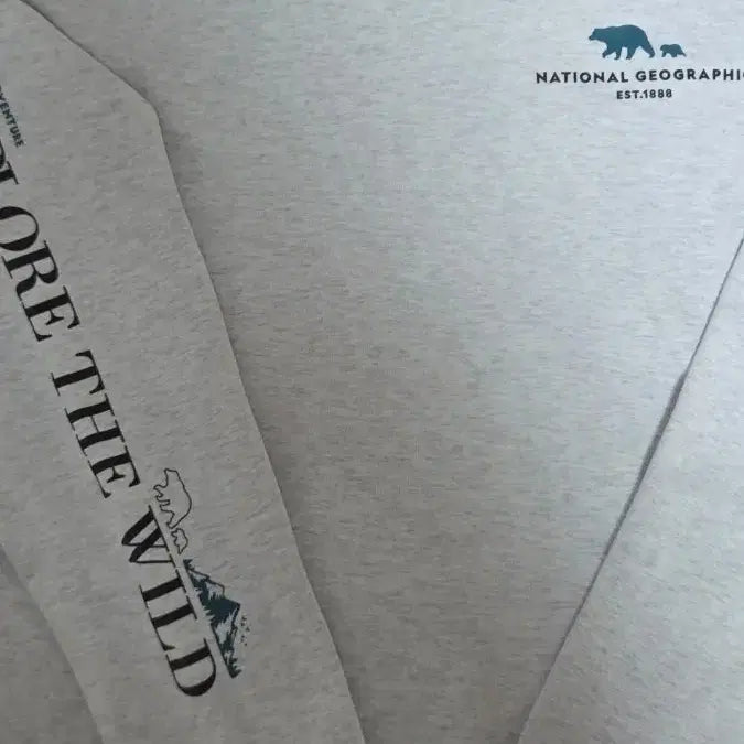 [BUNJANG] National Geographic Gray Long Sleeve Sweatshirt / 내셔널지오그래픽 맨투맨 긴팔티셔츠 회색