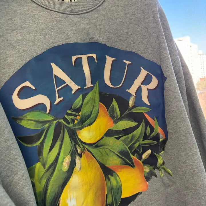 [BUNJANG] Citron Sweatshirt XL / 세터 시트론 스웻 XL