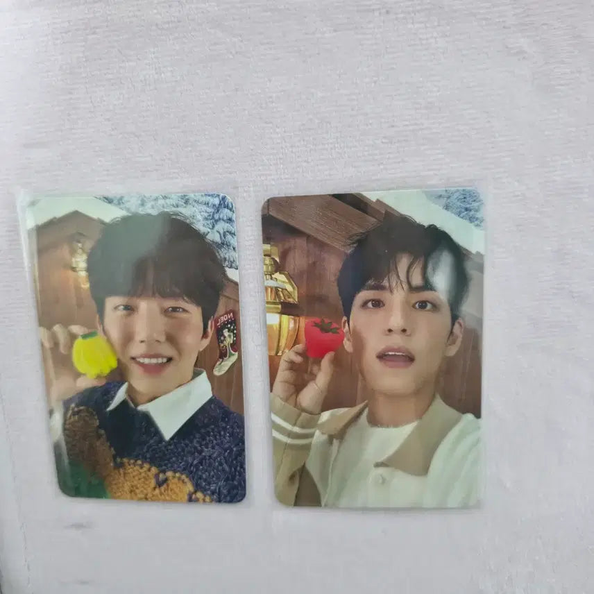 [BUNJANG] DAY6 Wonpil Dowoon Haligali Photocard Bundle Set / [일괄] 데이식스 할리갈리 포카 - 원필 도운