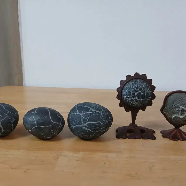 [BUNJANG] Rare Gukseok (Turtle Shell Stone) Specimens / 수석 ( 구갑석 )
