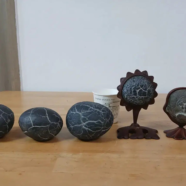 [BUNJANG] Rare Gukseok (Turtle Shell Stone) Specimens / 수석 ( 구갑석 )