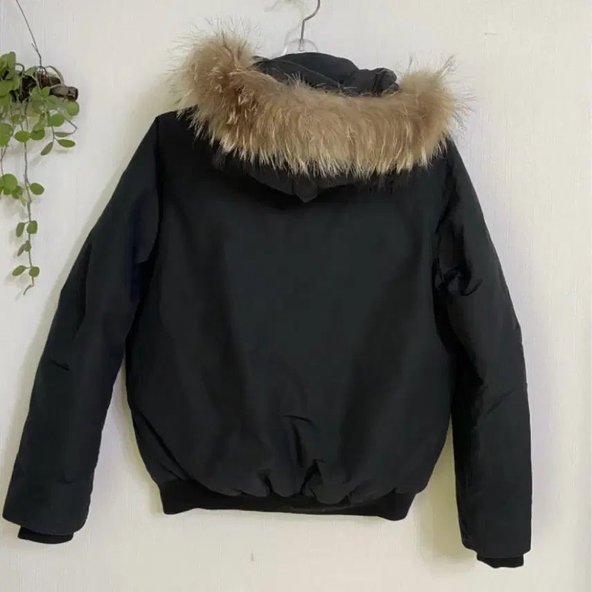 [BUNJANG] Eider Genuine Raccoon Fur 700 Down Padded Short Jacket M 95 / 아이더정품 라쿤퍼700다운패딩 숏패딩 M 95