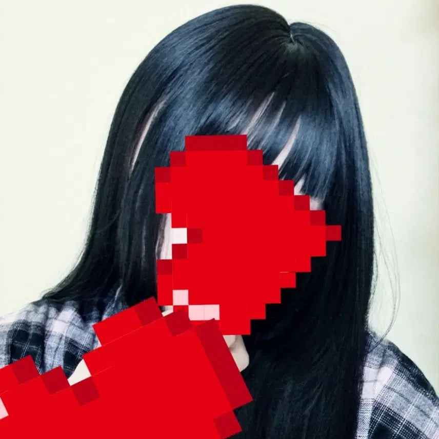 [BUNJANG] Hime Cut Black Wig Set / 가발망, 거치대, 빗 포함) 히메컷 지뢰계 가발 통가발 긴머리 코스프레
