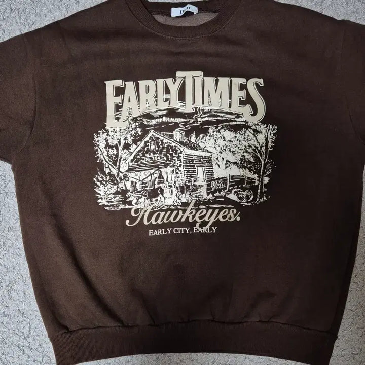 [BUNJANG] Brown Fleece Sweatshirt / 브라운 기모 맨투맨(상태좋음)