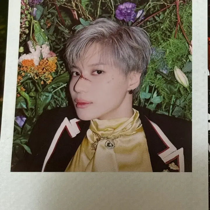 [BUNJANG] SHINee Taemin Act 1 Polaroid + Poster + Postcard / 태민 act1폴라로이드 +포스터 엽서 굿즈
