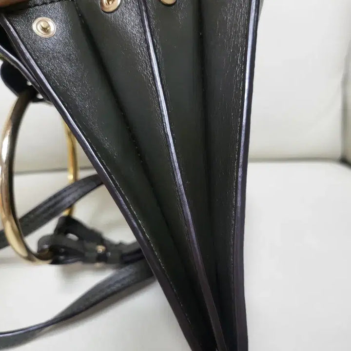 [BUNJANG] Chloè Payback Mini / 끌로에 페이백 미니 정품