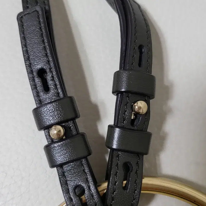 [BUNJANG] Chloè Payback Mini / 끌로에 페이백 미니 정품