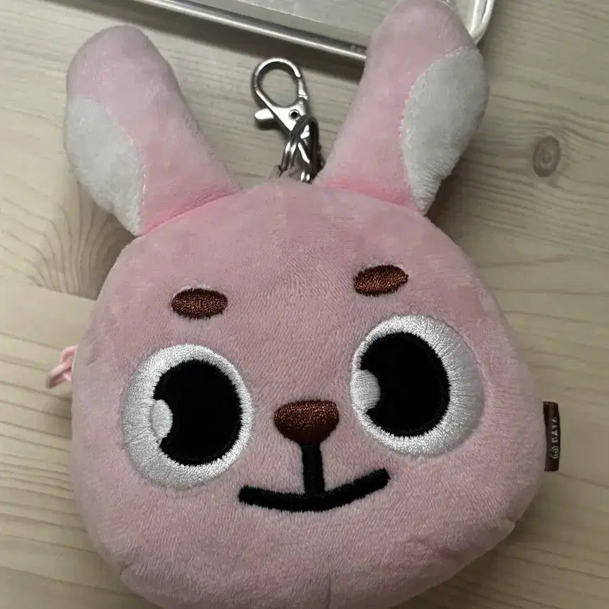 [SOLD OUT] 급쳐) 데이식스 20필끼 페이스파우치