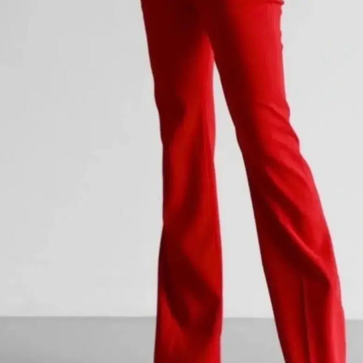 [BUNJANG] Eryn Brinie Red/Dark Navy Trousers / Eryn Brinie  레드/다크네이비 정방바지 새거 두개
