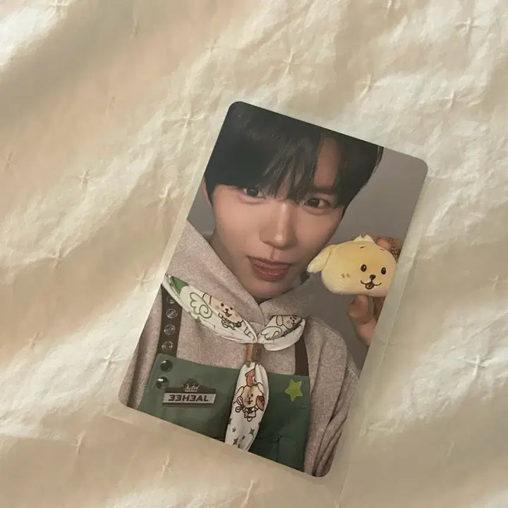 [BUNJANG] Wish Bakery Jaehee Photocard / 위시베이커리 포카 재희