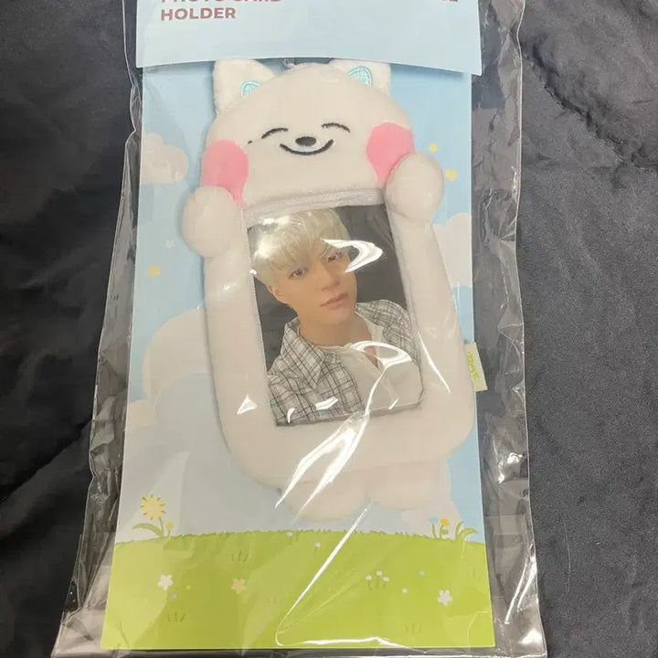 [BUNJANG] NCT Dream Jeno Doll Photocard Holder / 쪠드 인형 holder 엔시티드림 제노 미개봉