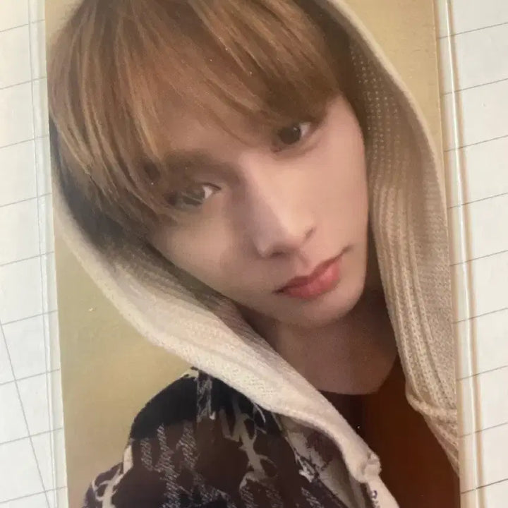 [BUNJANG] No Genre Taesan Olive Young / 노장르 태산 올영 양도