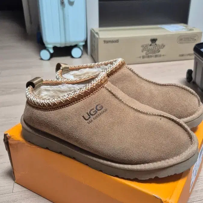 [BUNJANG] UGG Tasman Chestnut Slippers / UGG 어그 타스만 체슈넛 uk8 270 상태굿