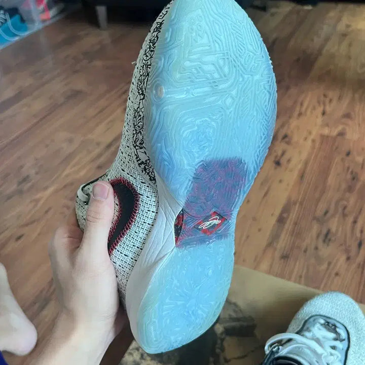 [BUNJANG] LeBron 20 Debut Shoes / 르브론20 270 데뷔