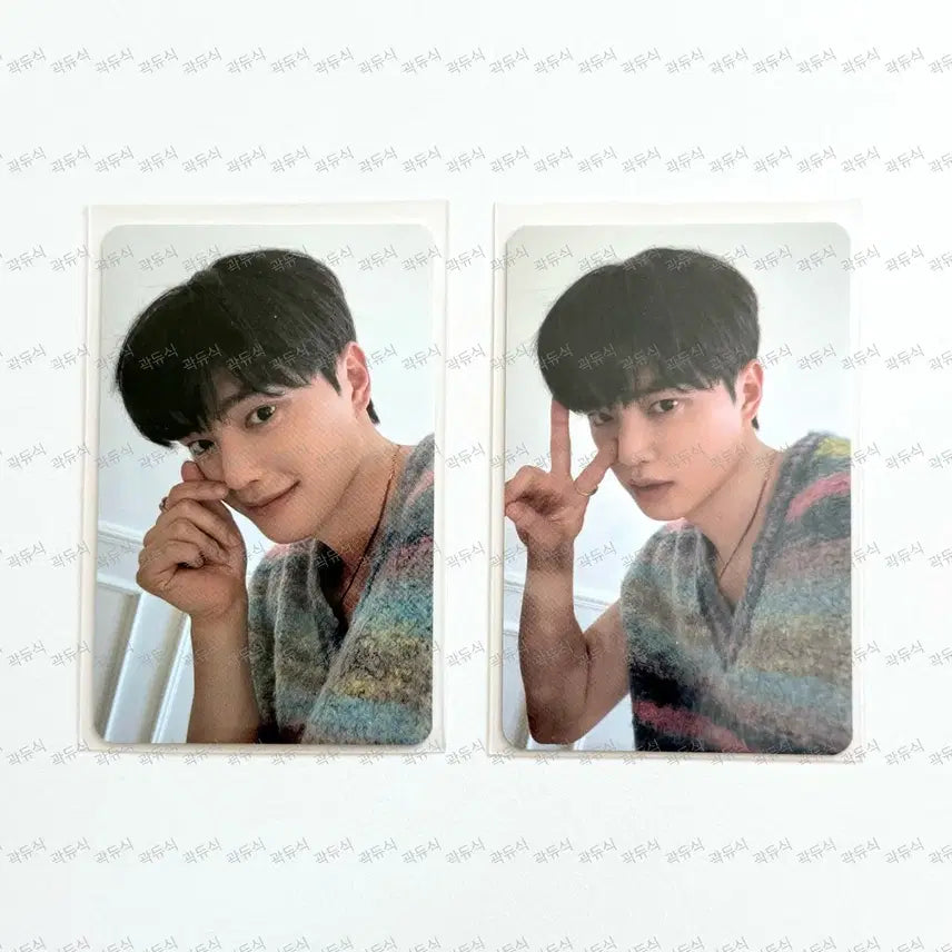 [BUNJANG] Song Kang 2023 Season&
